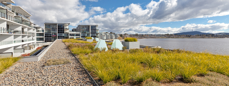 gröna tak gröna tak