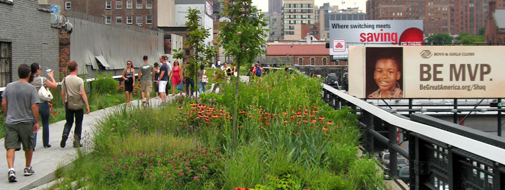 gröna tak gröna tak