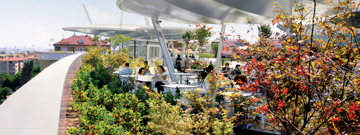 gröna tak gröna tak