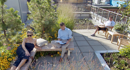 New fire protection tests on green roofs