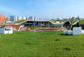 Accessable green roof area